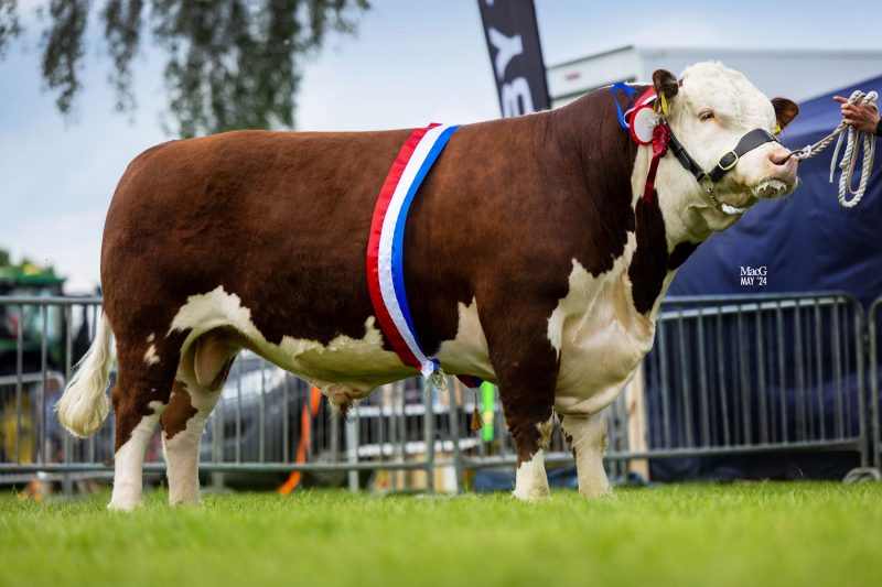 Carpenters Brigadier commands Traditional Championship - Hereford ...